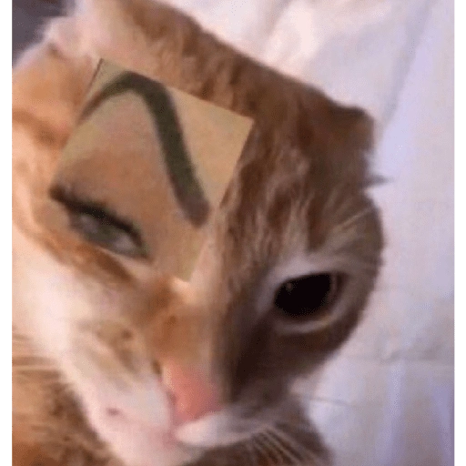 Marian face